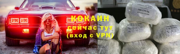 шишки Горнозаводск