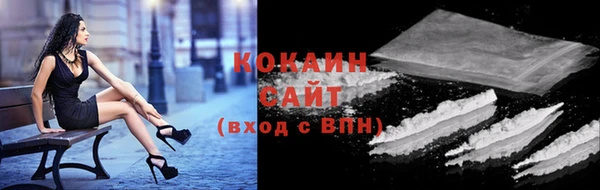 шишки Горнозаводск