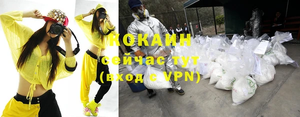прущая мука Горняк