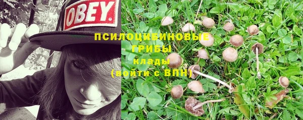 марихуана Гусев