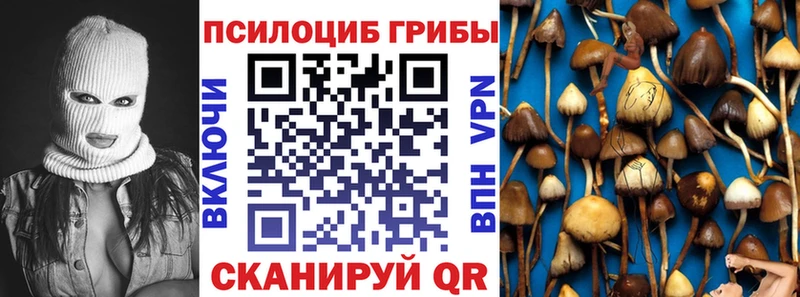Псилоцибиновые грибы Psilocybine cubensis  Купить  Хвалынск 